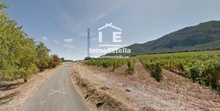Finca rústica  Urbanizable. Parcela 4.095 m en ayegui, junto a montejurra
