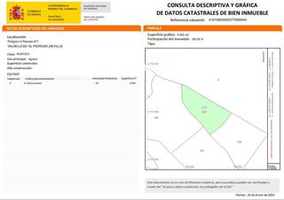 Finca rústica a Pedroso (El). Oportunidad única en la sierra norte de sevilla.