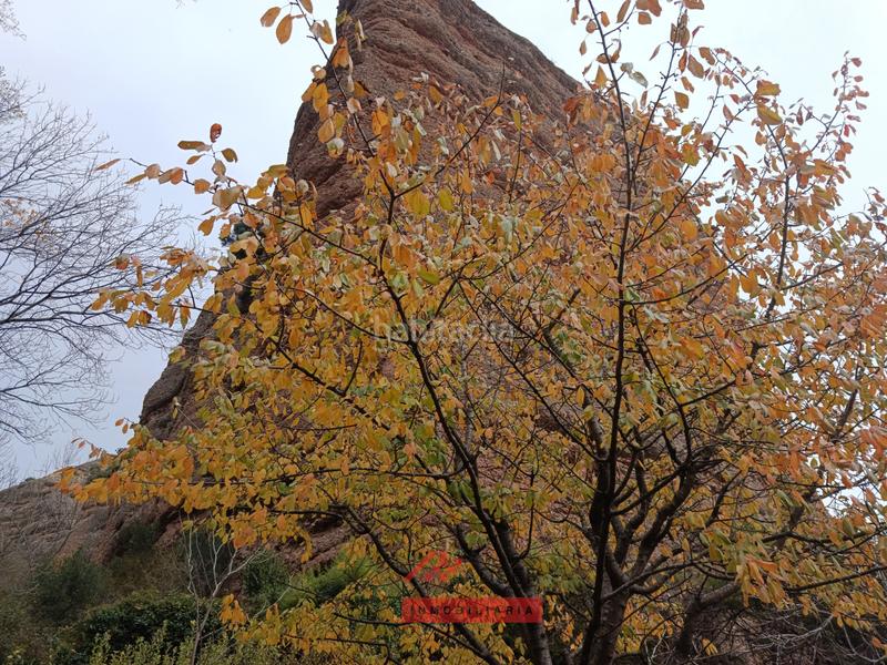 Foto 812e127b-1df4-4ffe-8ca4-aed71b39473a. Etagenwohnung mit heizung parking in Sojuela