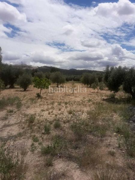 Foto 2544c29f-d662-40ca-ab0b-3ab8e409e84c. Mas dans Pinoso