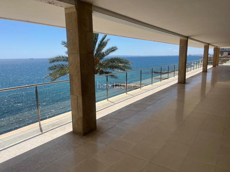Foto da2ffce0-9b1d-49d8-8c26-dbc6bca8f24f. Alquiler loft en Albufereta Alicante