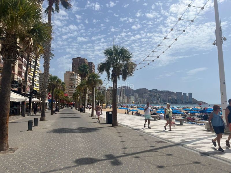 Foto 94598416-b723-4aa5-988c-0ae7b71b2543. Lloguer apartament a calle valencia 2 a Playa Levante Benidorm