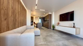 Penthouse in Avenida Maestral