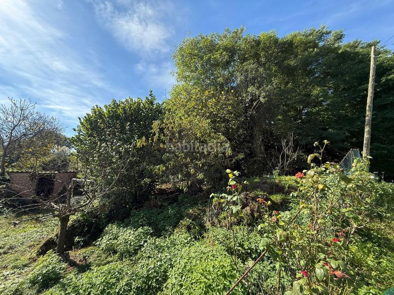 Foto 5759dafd-dd04-4df2-86bc-f812ea017939. Terreny residencial a elechino 40 a Entrambasaguas
