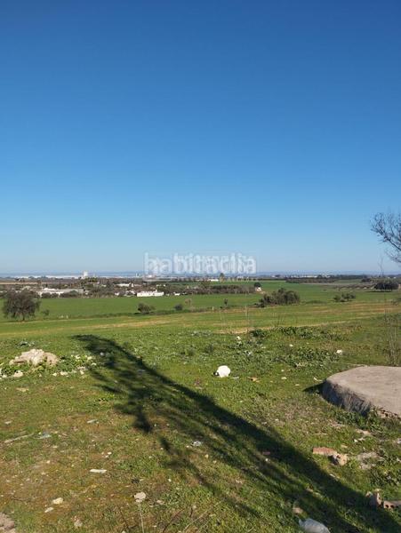 Foto 150178f2-523b-480c-8ead-c2323bf71b55. Terrain industriel dans La Paz Alcalá de Guadaira