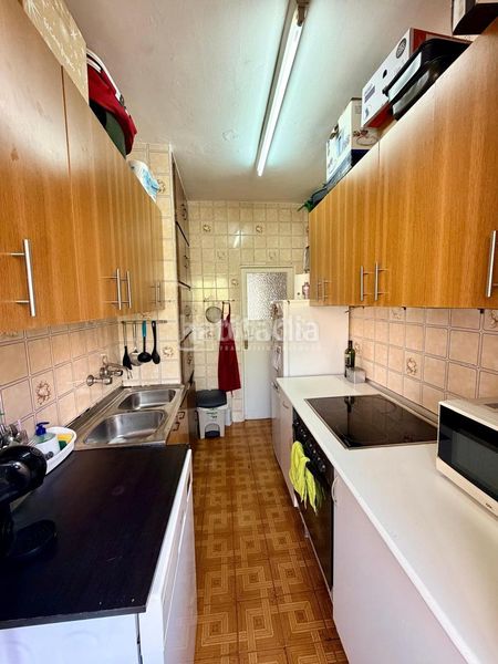 Foto 17ca3466-3c46-46c2-b3f7-46c701f856ed. Pis a Alfalfa - Santa Cruz Sevilla