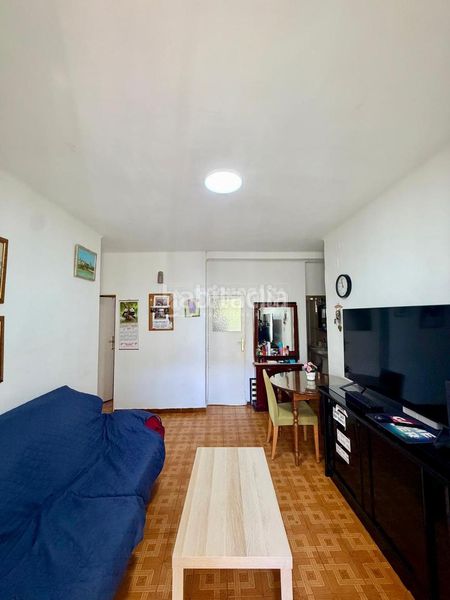 Foto 29ee6232-6b6b-4006-b90f-5ede5da96890. Pis a Alfalfa - Santa Cruz Sevilla