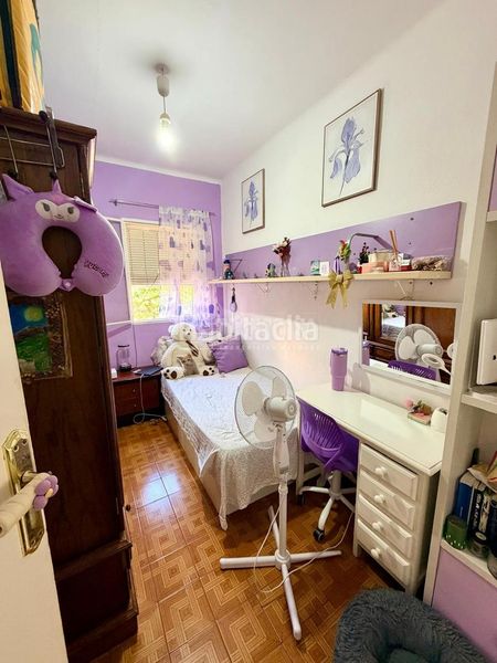 Foto 5835e49a-317b-435b-98f3-c1da24fb6527. Pis a Alfalfa - Santa Cruz Sevilla