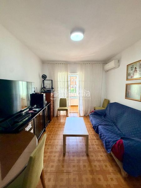 Foto 653ce838-07df-4df6-90e7-d77d0a6d70db. Pis a Alfalfa - Santa Cruz Sevilla