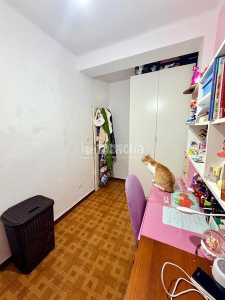 Foto 751295ee-7db3-4528-be78-0e93cfcd0df1. Pis a Alfalfa - Santa Cruz Sevilla