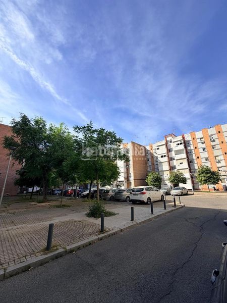 Foto 98d6d42e-9075-4ab4-adef-3995225b58b0. Pis a Alfalfa - Santa Cruz Sevilla