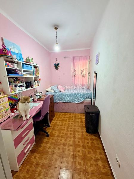 Foto a420da27-c790-49d0-8413-10c796b4925b. Pis a Alfalfa - Santa Cruz Sevilla