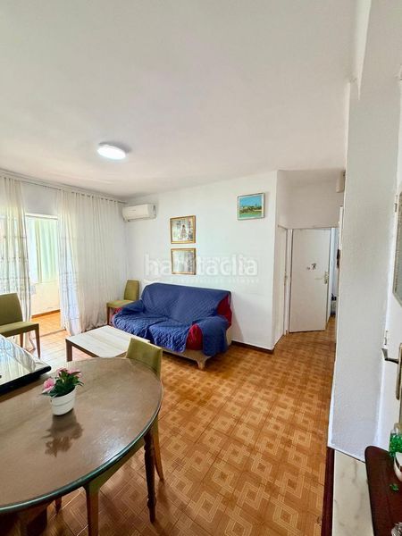 Foto d8ac58fb-fa68-45b0-997c-134442e2c116. Pis a Alfalfa - Santa Cruz Sevilla