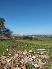 Fondo rustico  Terreno poligono cuchipanda. Terrenos en venta en alcalá de guadaira