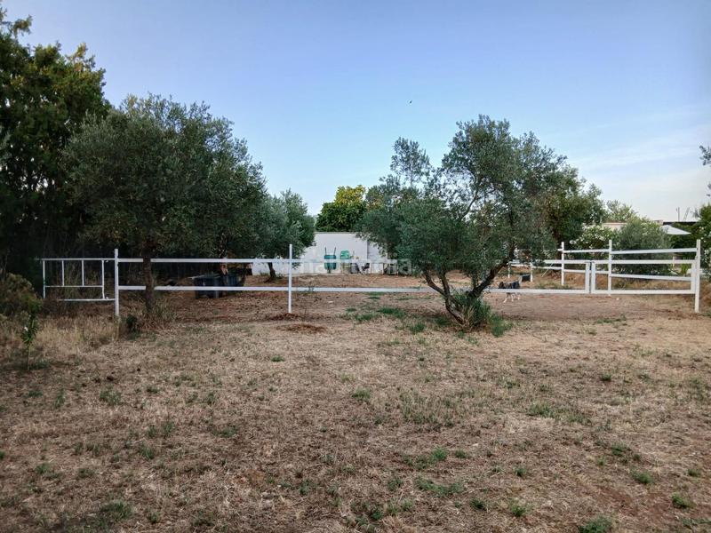 Foto d8dbf2db-5df0-4d30-a152-0745706fbd61. Casa in Pedanías Norte Utrera