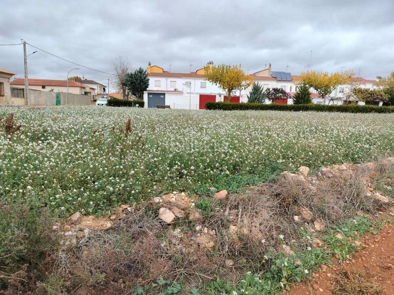 Foto 1d1f0d66-9ca5-4c2a-b399-7ee7f2e0d319. Terreny residencial a Casas de Benítez