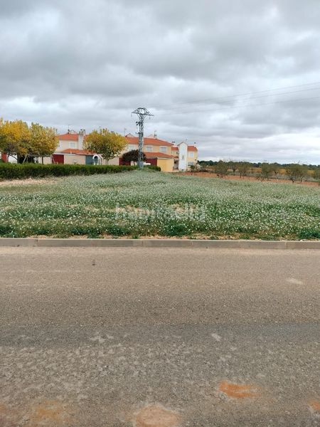 Foto 4d4b0f97-d6d2-4189-a707-ea6c962d76dd. Terreny residencial a Casas de Benítez