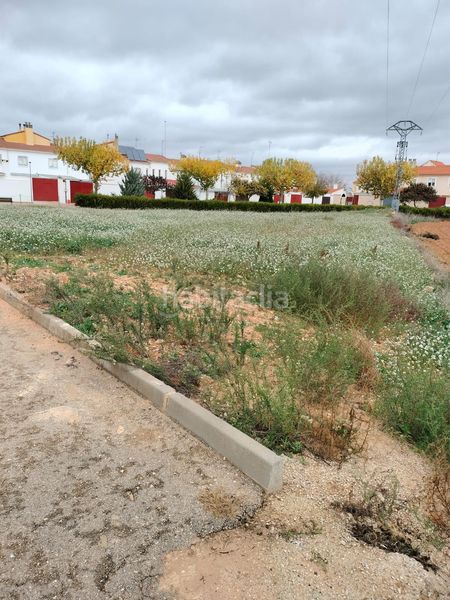 Foto 8bf53136-32cf-446f-8904-b77cde24404b. Terreny residencial a Casas de Benítez