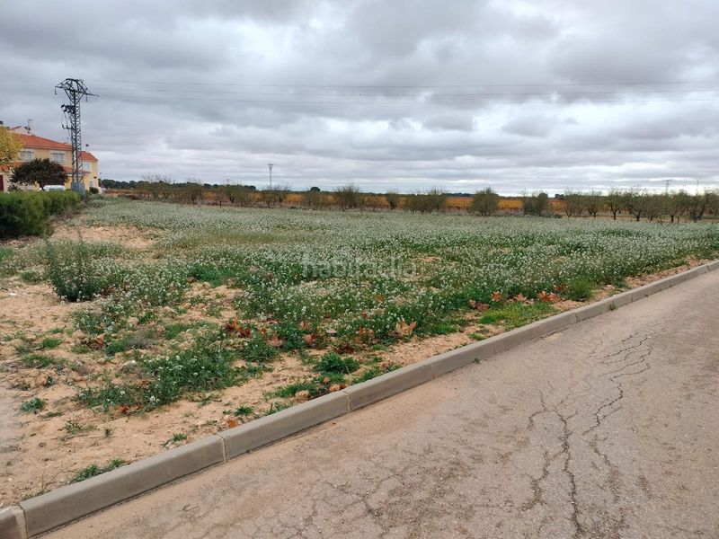 Foto 8f59f56b-fe15-4005-9960-d65e300cc9db. Terreny residencial a Casas de Benítez