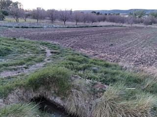 Fondo rustico  Calle camino de la melgosa. Venta terreno 9.000€