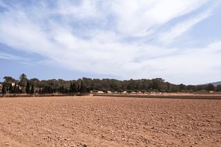 Finca rústica a Calle rio 15. Terreno rural en venta en arcos de la cantera