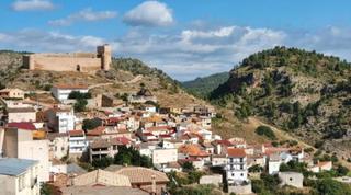 Rural plot in Cardenete. Venta terreno rústico pinar maderable en cardenete