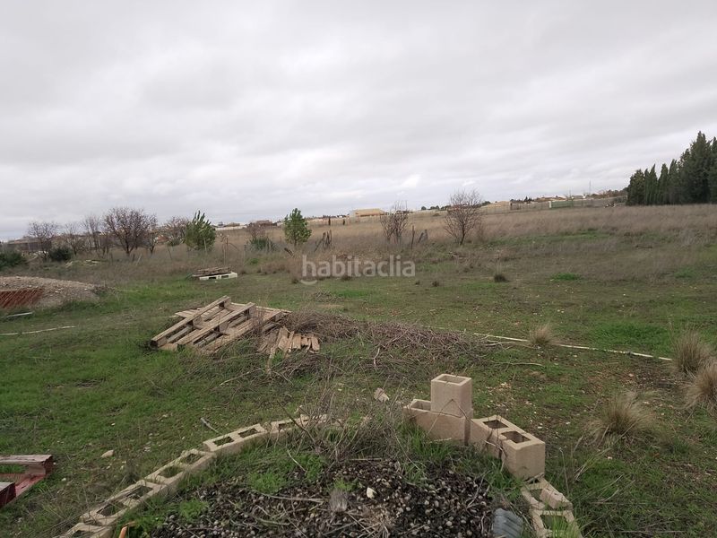 Foto 4199a935-18b8-494d-942f-fb7537f227fe. Fondo rustico in camino de villarcampo 25 in Pedanías - Extrarradio Albacete