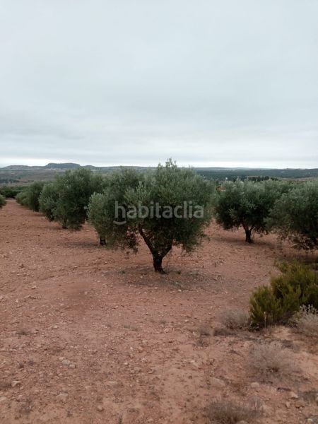 Foto 5aabc93f-32da-463c-91b4-b10619b416e8. Finca rústica a calle diseminado 67 a Almansa