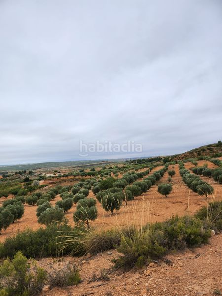 Foto 87f0fdf7-6463-4551-aaaa-45acbfaec74e. Finca rústica a calle diseminado 67 a Almansa