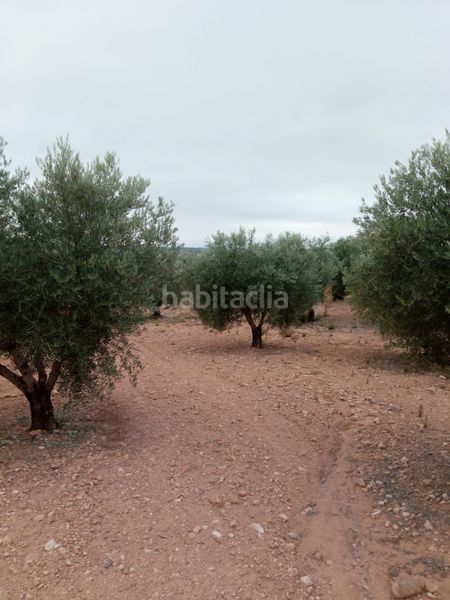 Foto ec7fbf87-2505-48eb-93f1-95317796d829. Finca rústica a calle diseminado 67 a Almansa