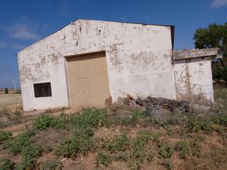 Capannone industriale in Calle santa luisa 16
