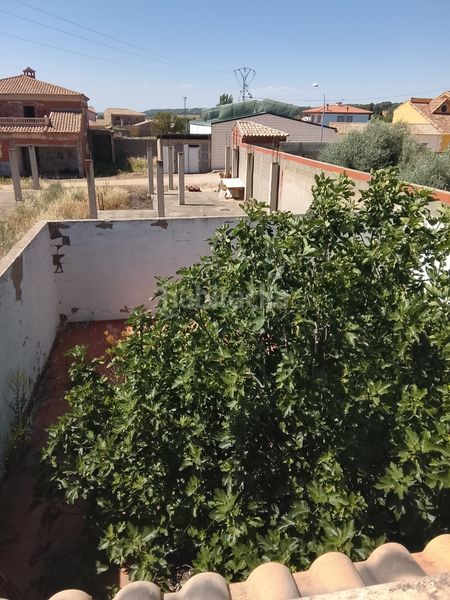 Foto b0b500a8-d7cf-4ad8-b2a8-14774d6eb0d3. Xalet a calle retamar 13 a Picazo (El)
