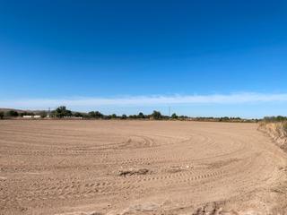 Finca rstica en La Montaa - El Cortijo. Venta de finca rustica cortijo de san isidro.