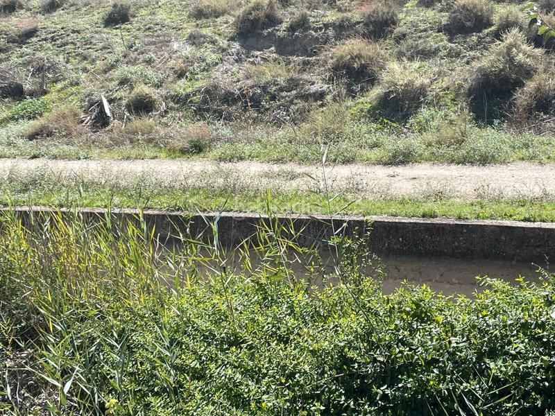 Foto 26e85579-2c34-447b-b18d-384c399f82af. Finca rústica venta de finca rústica en Foso-Moreras Aranjuez