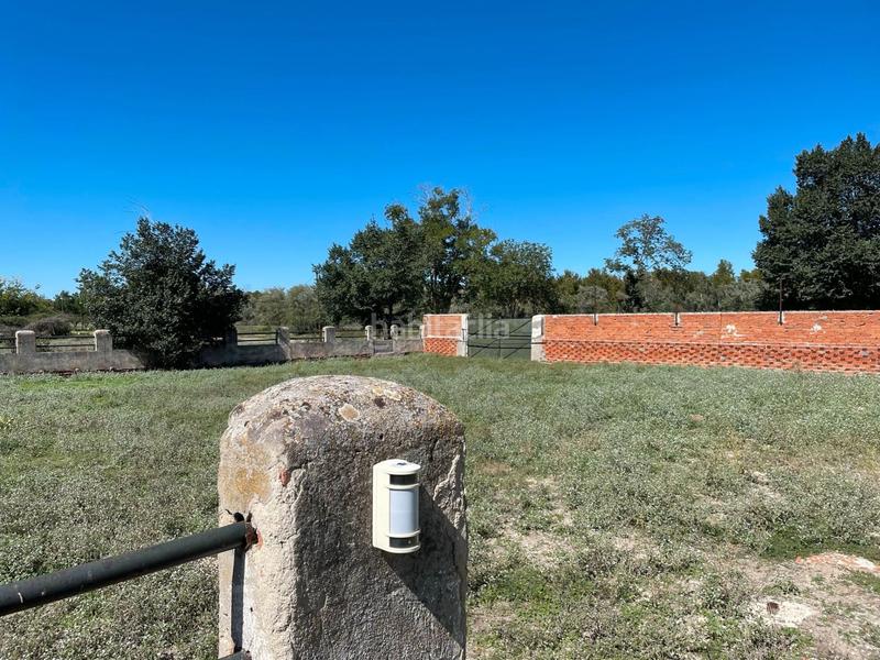 Foto 2dceffdf-c027-4201-85dc-9477d996f655. Finca rústica venta de finca rústica en Foso-Moreras Aranjuez