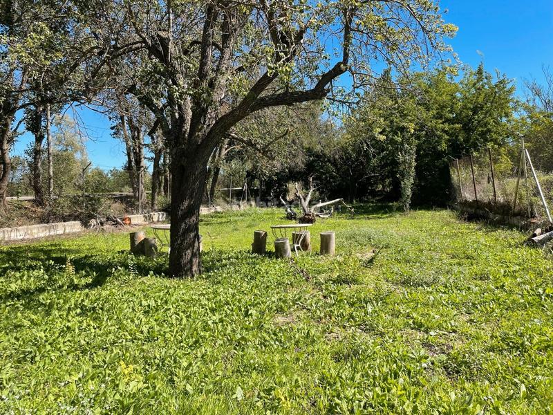 Foto 836e47af-5046-4133-ad84-46bfc4fb3d93. Finca rústica venta de finca rústica en Foso-Moreras Aranjuez