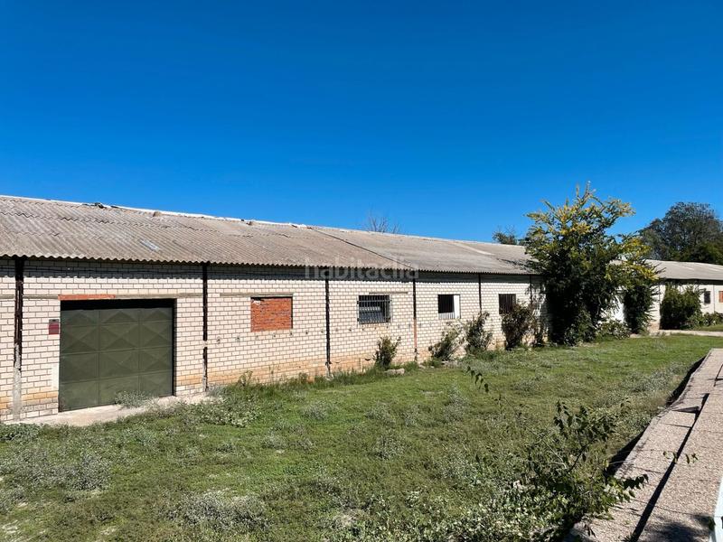 Foto 8f29ffa7-77ff-4284-91aa-2446695b3831. Finca rústica venta de finca rústica en Foso-Moreras Aranjuez