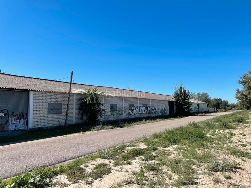 Foto c6f215a6-24db-45a6-bc9d-c5976b730824. Finca rústica venta de finca rústica en Foso-Moreras Aranjuez