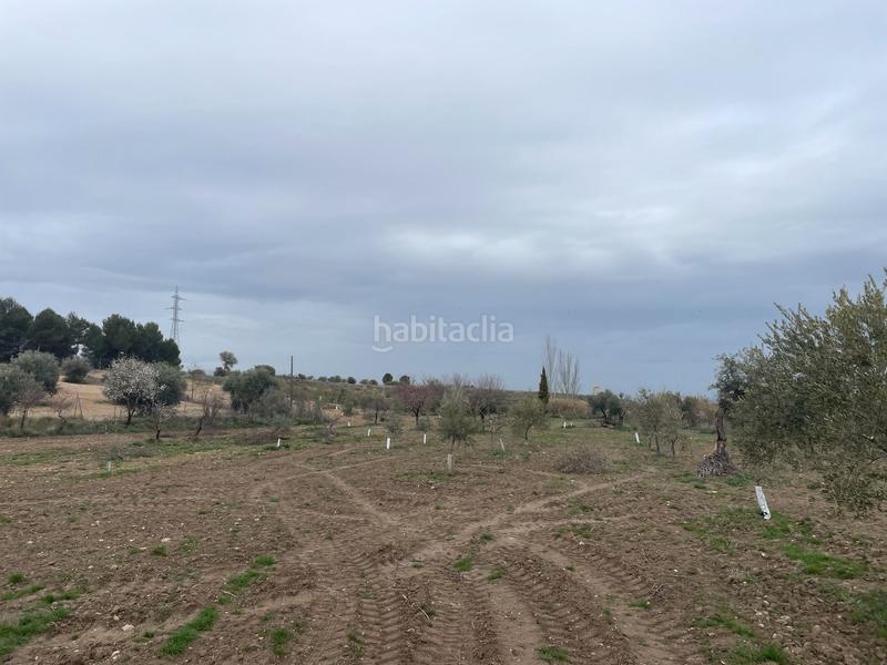 Foto 04c29197-bf3b-4d06-9374-fe1a3b89187b. Fondo rustico in Centro Ocaña