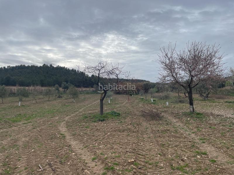 Foto 07a38c96-b6b6-4a48-ae82-344eeaf5475f. Fondo rustico in Centro Ocaña