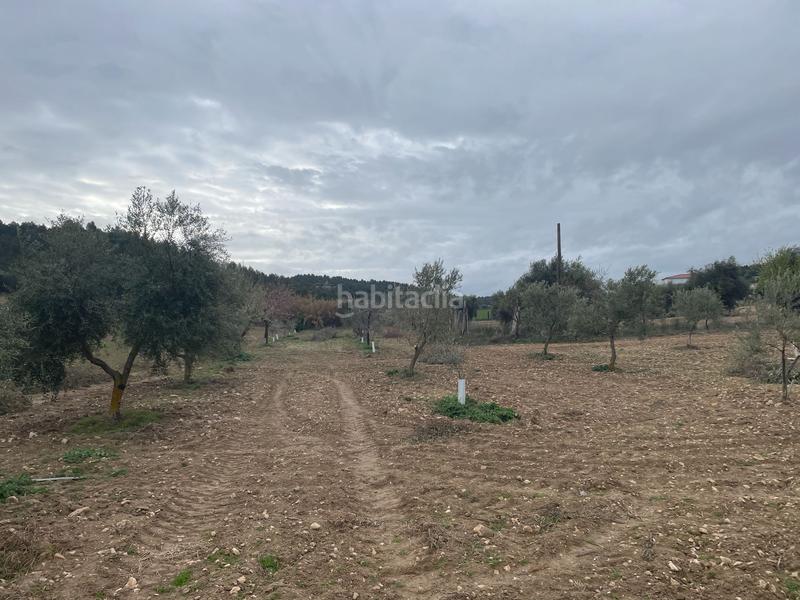 Foto 1e04a63b-b27e-4313-b521-10e8d6cd4e1d. Fondo rustico in Centro Ocaña