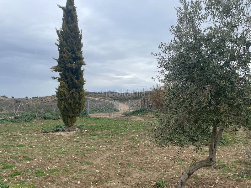 Foto 309f4a10-b601-45d0-b950-799ca3eae155. Fondo rustico in Centro Ocaña