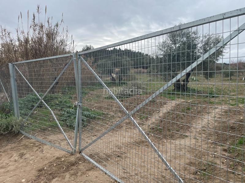 Foto 36379690-afff-43bf-ab31-83812cc68007. Fondo rustico in Centro Ocaña