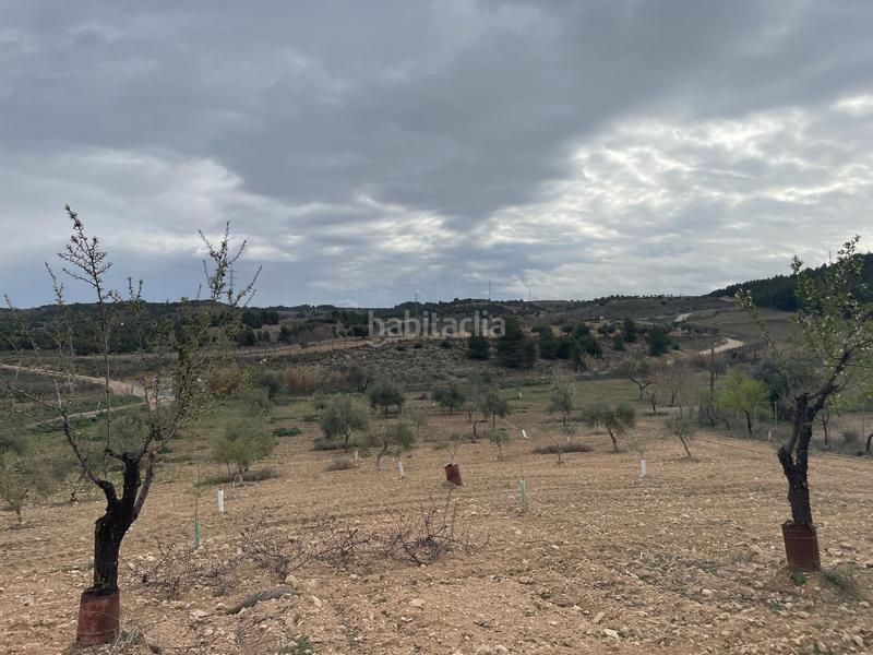 Foto 86f279d9-9b9d-435e-89fe-97b3d58576ae. Fondo rustico in Centro Ocaña