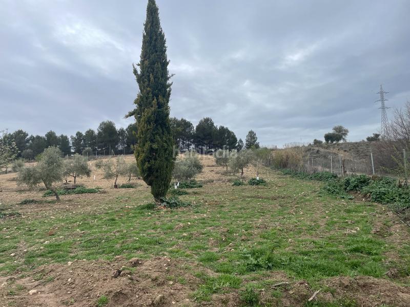 Foto be2cf642-cb3b-4897-b054-2aa3d43e7e82. Fondo rustico in Centro Ocaña