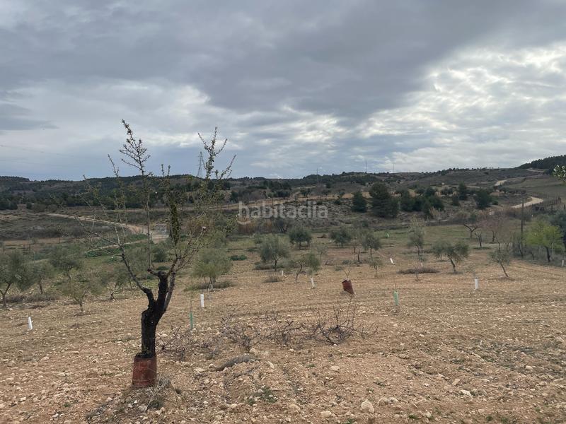 Foto ca7eb8ac-8226-49e1-b9fd-ae32d56cdd4d. Fondo rustico in Centro Ocaña