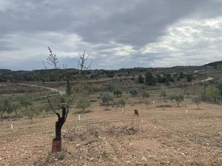 Finca rústica a Ontígola. Terreno en venta en ocaña
