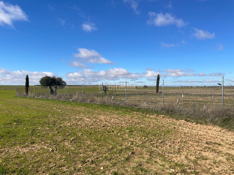 Foto 2cf04d01-56bb-409a-ad73-f7d5036d81c0. Finca rústica terreno en venta en Entrada-Gasolineras Ocaña