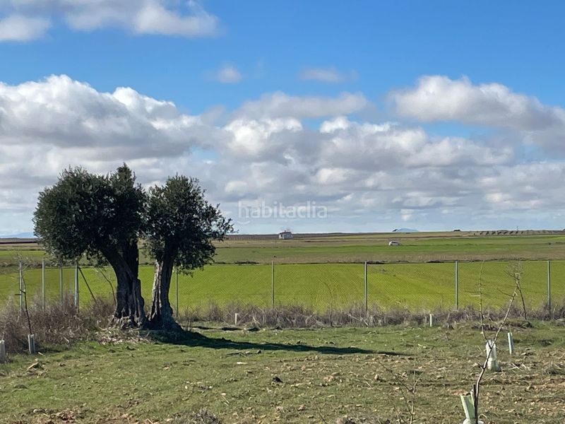 Foto aee29176-19b2-4ab6-a80b-676520c1cdfc. Finca rústica terreno en venta en Entrada-Gasolineras Ocaña