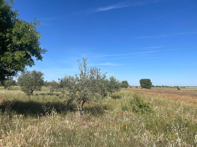 Foto a3ae4bd9-1f8b-4422-84b6-9589bf0087ee. Finca rústica a Centro de Especialidades Ocaña